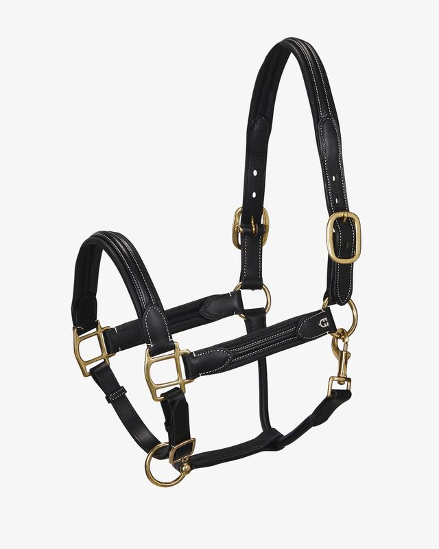 Cavezza cuoio Show Schutz Brothers Cod STESB4694A Schutz Brothers, Cavezza, Cavezza cavallo, Cavezza Equestro, Capezza, Cavezza o Capezza, Capezza  cavallo significato, Cavezza cavallo con nome