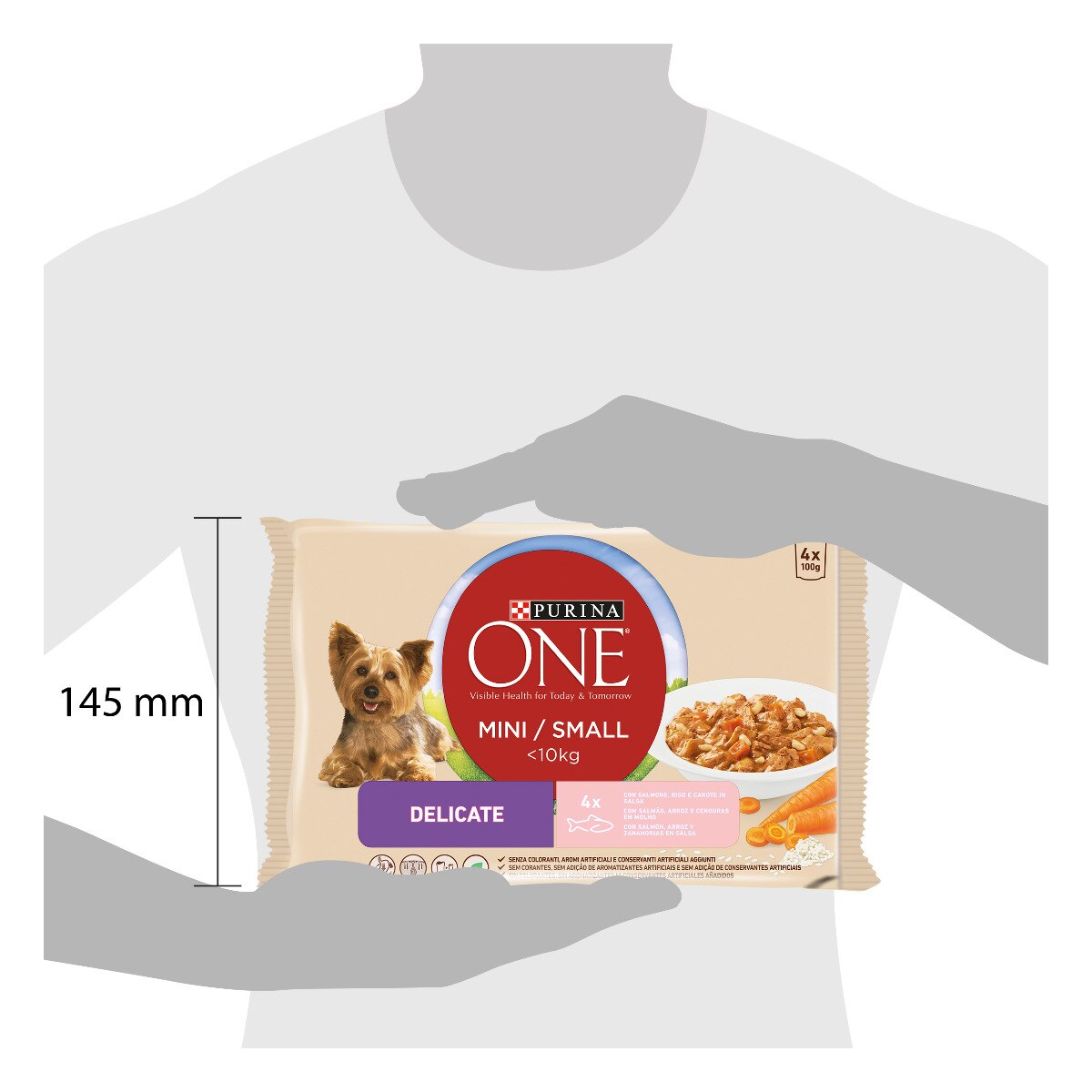 Cibo umido, cibo secco e snacks per cani - PURINA ONE MINI < 10kg  Crocchette Cane Delicate con Salmone e Riso, Purina One