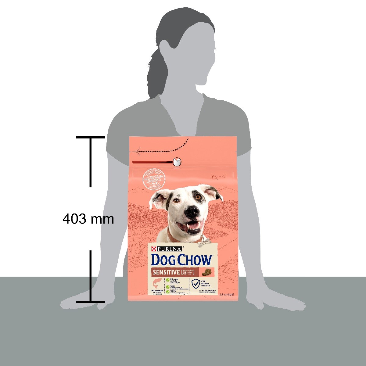 Purina dog chow sales sensitive