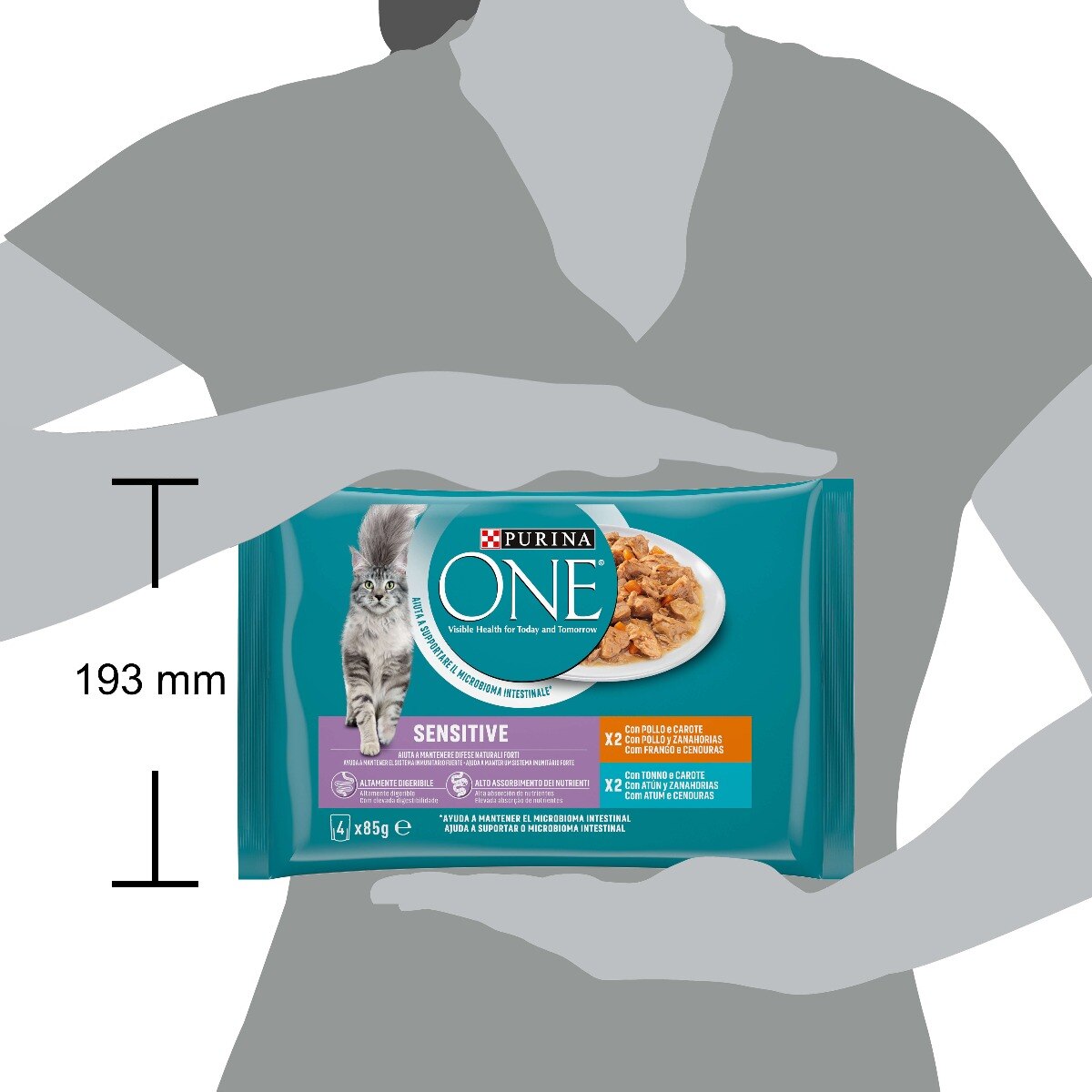 PURINA ONE Sensitive Filettini carne e pesce per Gatto