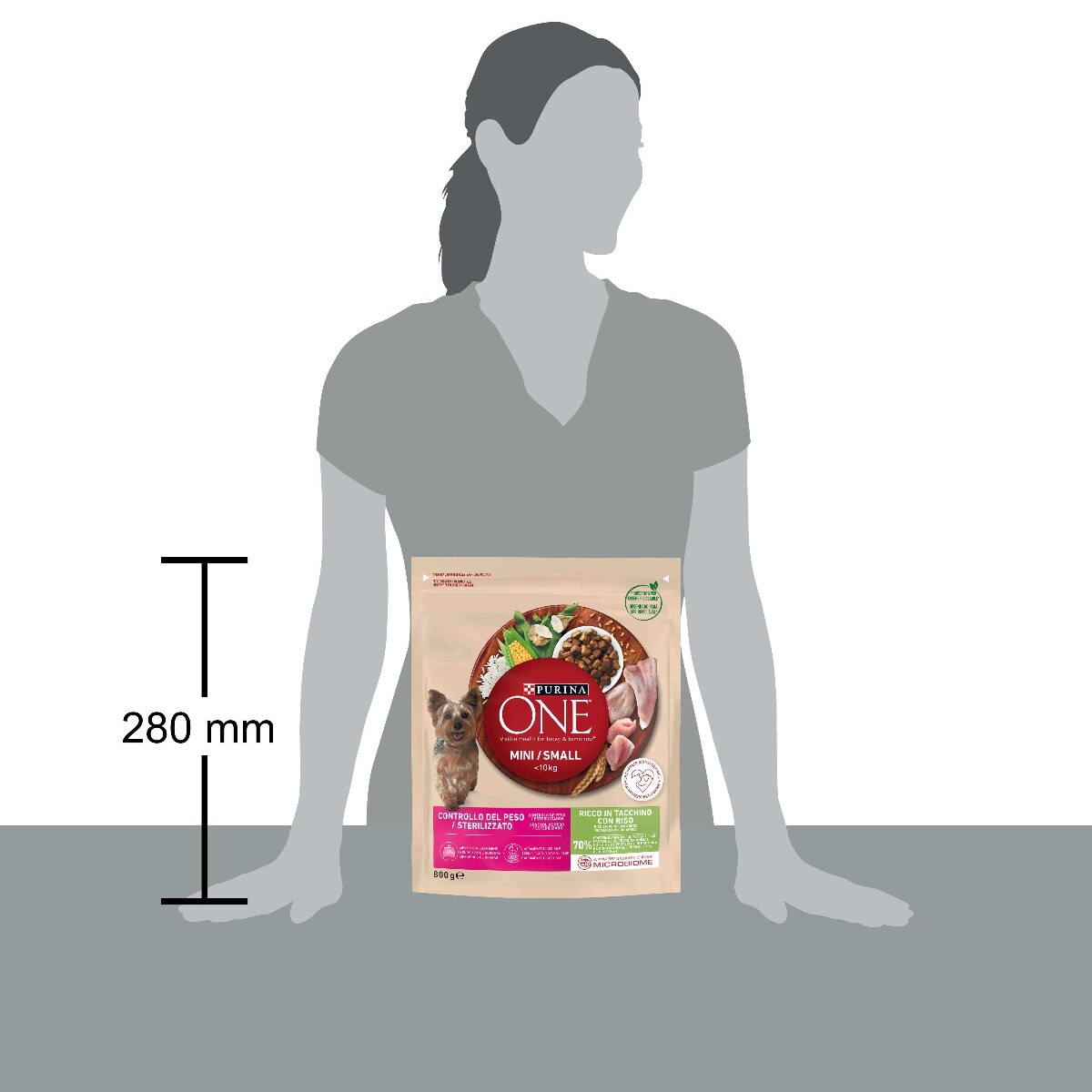 PURINA ONE MINI/SMALL < 10kg Adult Manzo e Riso (800 g)