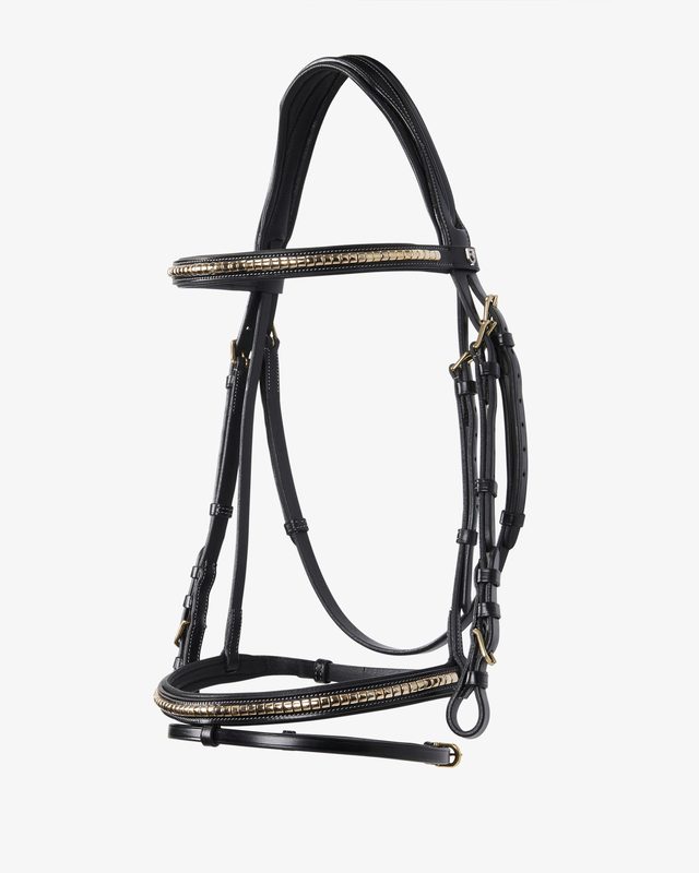 Testa Di Cavallo Di Dressage Cavallo Crema Con Il Ritratto Degli Occhi  Azzurri Durante La Concorrenza Di Dressage Immagine Stock - Immagine di  durante, freno: 98468535