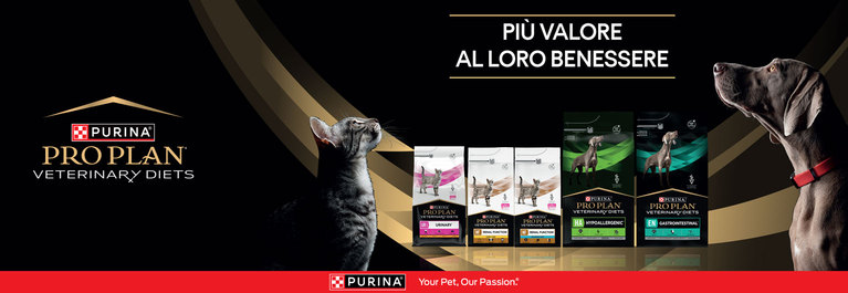 Concorso Purina Pro Plan Gatto: vinci 110 porta crocchette Miòjar di Alessi  - Scontrino Felice